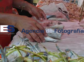 Venta de mariscos en Puebla - ES imagen agencia de fotografía
