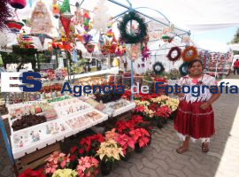 Venta de artículos Navideños - ES imagen agencia de fotografía