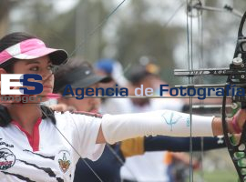 Tiro con Arco Grupal - ES imagen agencia de fotografía