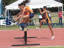 800 metros con obstáculos femenil  - ES imagen agencia de fotografía