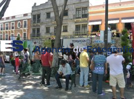 Afluencia turística en zocalo de la ciudad - ES imagen agencia de fotografía