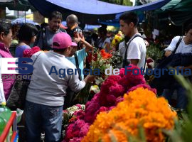 Venta de Flores, panteon municipal 2015 - ES imagen agencia de fotografía