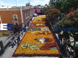 Colocan Tapete de Flores en Atlixco - ES imagen agencia de fotografía