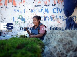 4 poniente, venta de temporada - ES imagen agencia de fotografía