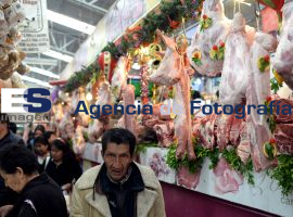 Pierna de Puerco, la más buscada - ES imagen agencia de fotografía