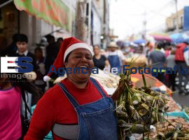 Pescados y Mariscos, ante su ultima temporada en el centro - ES imagen agencia de fotografía