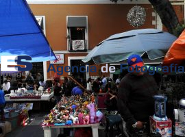 Sapos, sin cuajar proyectos - ES imagen agencia de fotografía