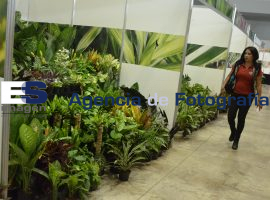 Exposición México Florido 2015 - ES imagen agencia de fotografía