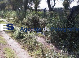 Degollado en Tehuacan - ES imagen agencia de fotografía