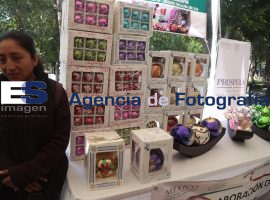 Expone Sedesol productos exitosos del programa Prospera - ES imagen agencia de fotografía