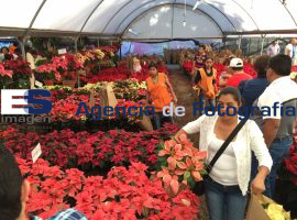 Feria de la Nochebuena en Atlixco 2015 - ES imagen agencia de fotografía