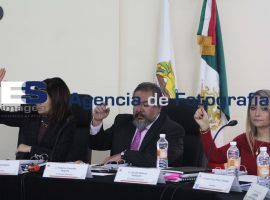 Sesión extraordinara; Ople - ES imagen agencia de fotografía