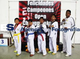 Open Chang Moo Kwan de TKD 2015 - ES imagen agencia de fotografía