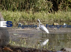 La Sabana (San Juan la Sabana) - ES imagen agencia de fotografía