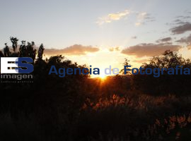 Atardecer en La Sabana - ES imagen agencia de fotografía