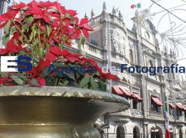 14 millones de pesos costó colocación de Noche Buenas en Puebla - ES imagen agencia de fotografía